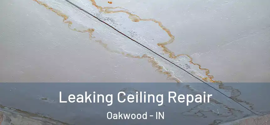  Leaking Ceiling Repair Oakwood - IN