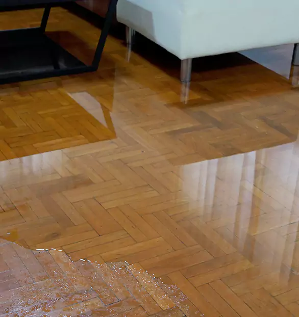 Trusted Emergency Water Restoration Company in Oakwood, IN