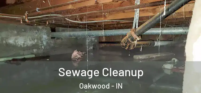 Sewage Cleanup Oakwood - IN